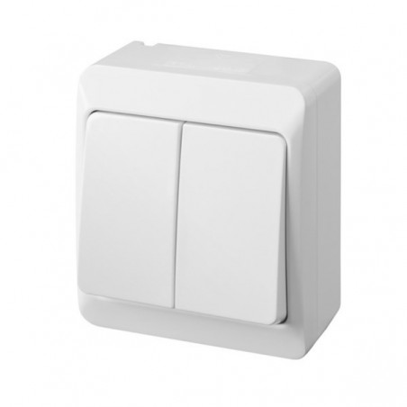 INTERRUPTOR ELEC 10AMP-250V ESTANCO SUP. - Imagen 1