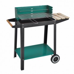 BARBACOA CARB 87X45X83 C/RDA MONTANA NATUUR - Imagen 1