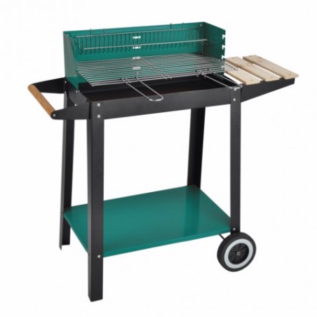 BARBACOA CARB 87X45X83 C/RDA MONTANA NATUUR - Imagen 1