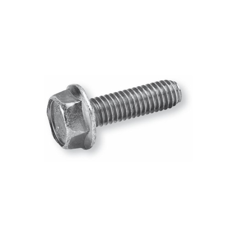 TORNILLO 6921 8X 20 ZINC