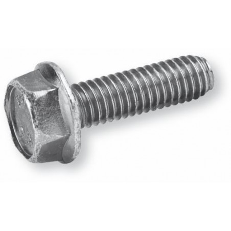 TORNILLO 6921 8X 20 ZINC
