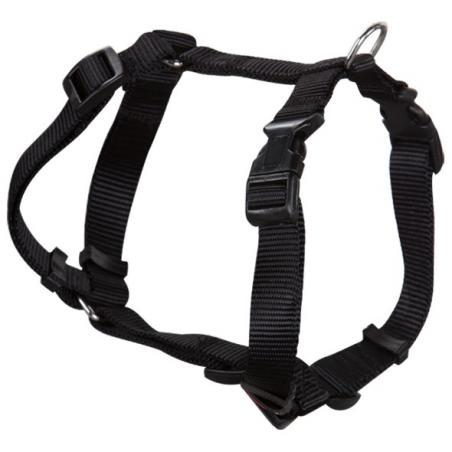 Collar mascota ancho 2,5cm ARPPE