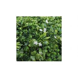 Jardin vertical artificial jazmin 1 x 1 m