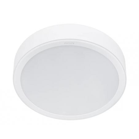 Downlight superficie