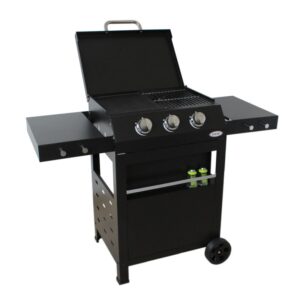 barbacoa de gas