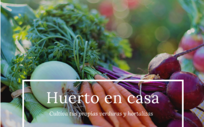 Huertos en casa: Una forma de cultivar tus propias verduras y hortalizas